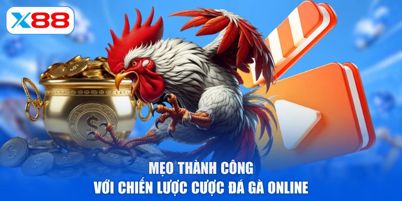 Mẹo thành công với chiến lược cược đá gà online