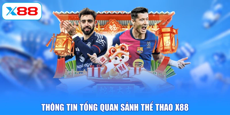 Thông tin tổng quan sảnh thể thao X88
